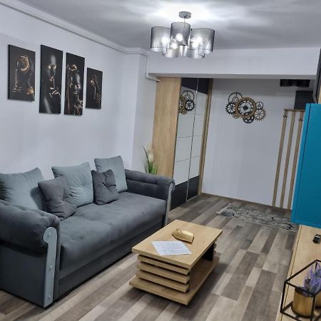 Luxury Apartments Bacău エクステリア 写真