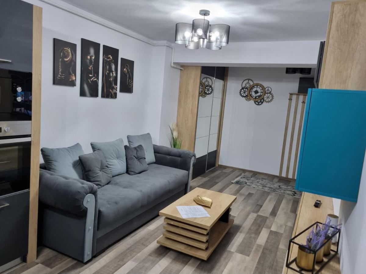 Luxury Apartments Bacău エクステリア 写真