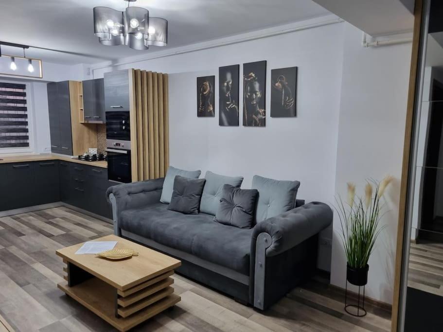 Luxury Apartments Bacău エクステリア 写真